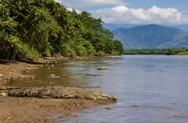 Desde Puntarenas