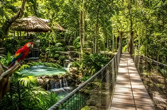 En Gumbalimba Park