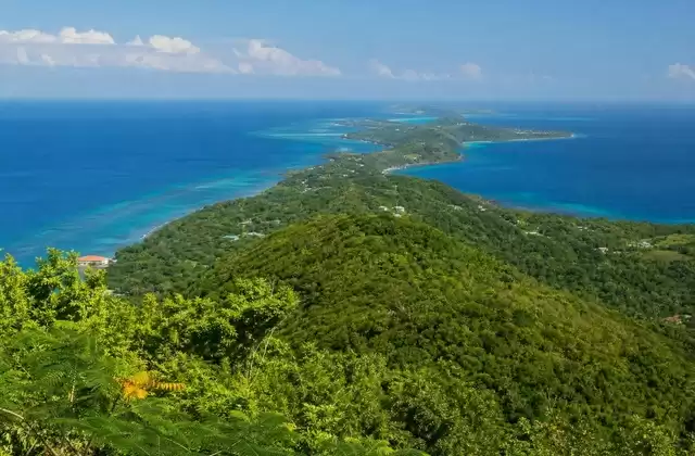 En el interior de Roatán
