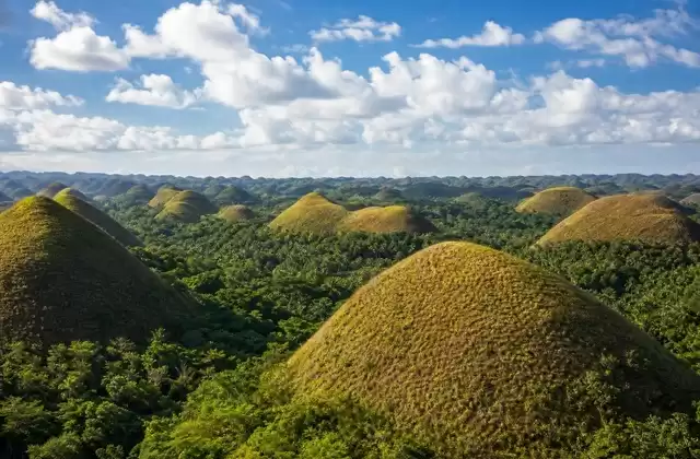 En Bohol