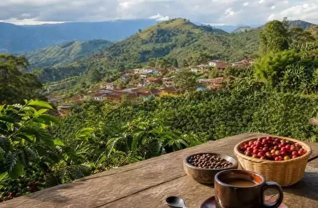 Región cafetera