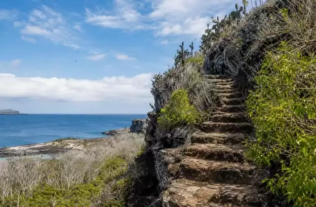 Prince Philip’s Steps