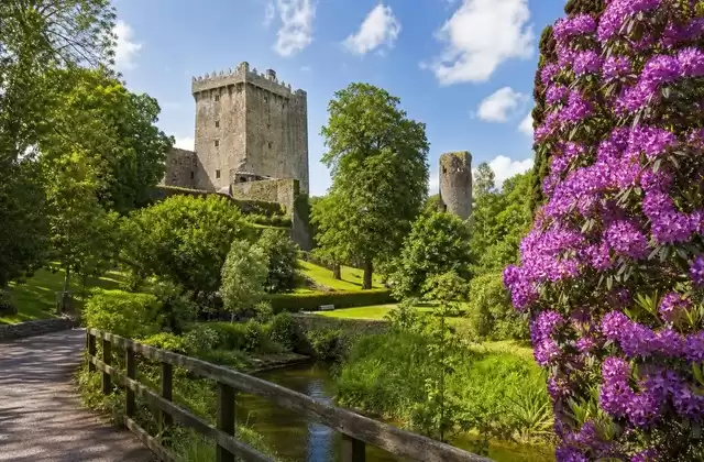 Blarney Castle