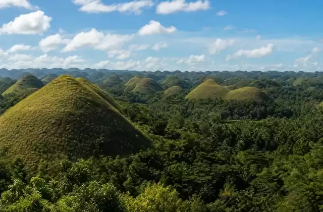 Bohol
