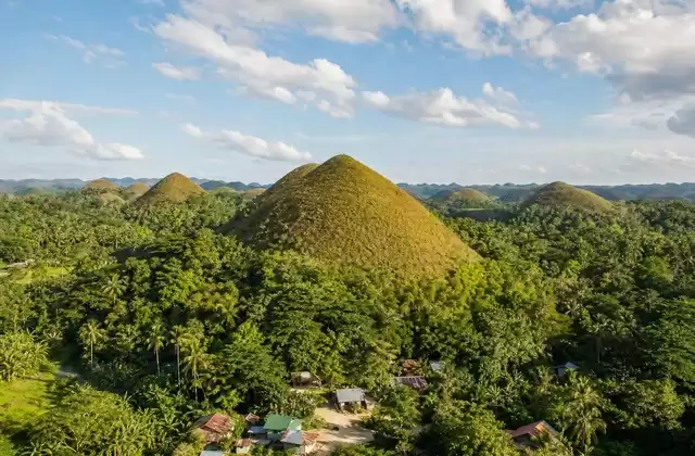 Bohol
