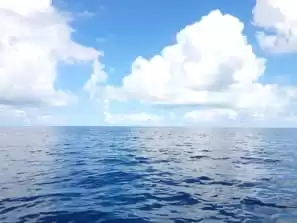 Simulador de tiro láser