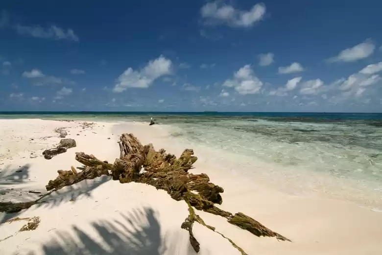 Belize (harvest caye)